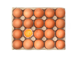 Chicken egg yolk with whole brown eggs in package carton closed up on white top view