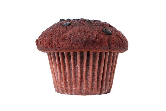 Chocolate muffin cupcake isolated one transparent background photo PNG file