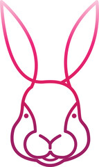 rabbit cute pink