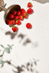 Summer background with fruits, berries and wine glass on white table. Light background with shadows from wine glasses and fruit with copy space. Summer food backdrop with empty place. Summer menu.