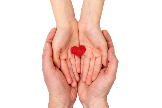 Father and child holding small red heart in hands