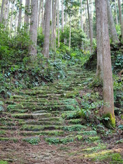 熊野古道