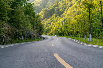 High asphalt road in the forest