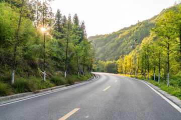 High asphalt road in the forest