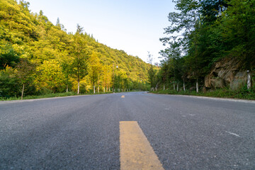 Fototapeta premium High asphalt road in the forest