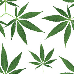 seven green cannabis leaves, pentagon shape, seamless pattern vector, Can be used background or shirt pattern.
