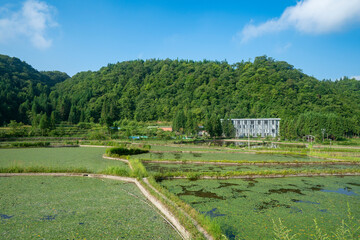 Beautiful rural scenery in China