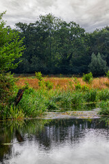 view of Norfolk broads at Horstead