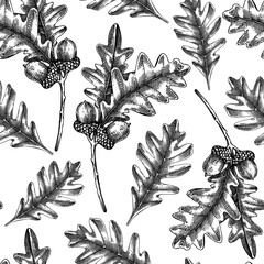Oaktree seamless pattern Decorative autumn leaf sketches. Hand-drawn botanical backdrop in sketched style. Vintage oak tree branch with fall leaves and acorn illustrations. Thanksgiving background © sketched-graphics