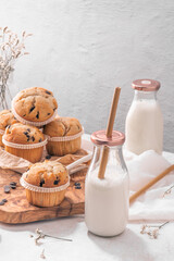 Chocolate chip muffins with milk