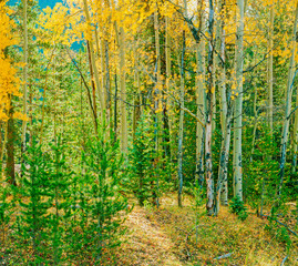 Rocky Mountains, Colorado