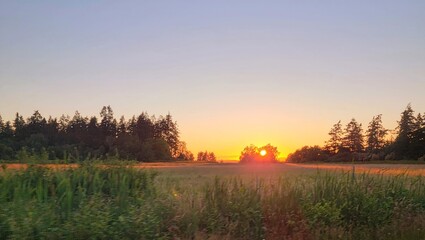 Fototapeta premium Sunset over the field