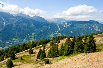 Fototapeta na wymiar View of the Mont-Blanc Massif, Chamonix Mont-Blanc, France