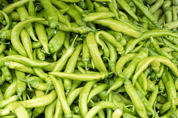 peppers in the market. Pile of fresh green chilies.