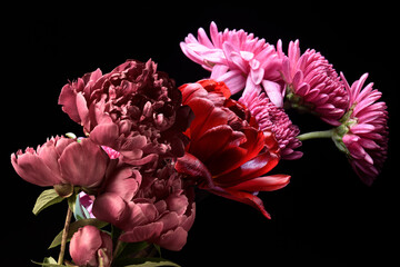 Red flowers on a black background, floral bouquet, chrysanthemum peonies and tulips.