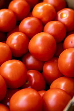 Tomaten
