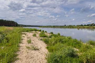 Fototapeta na wymiar Bank of River Bug near Szumin village, Mazowsze region of Poland