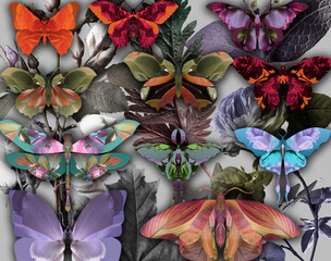 Abstract botanical wallpaper, butterflies and plants.
