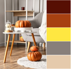 Autumn pumpkins in interior of living room. Different color patterns