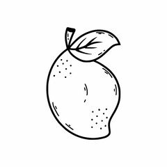 Lemon on white background. Vector doodle illustration. Hand drawn sketch. Postcard decor element. Icon  restaurant for me.
