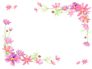 Obraz na płótnie Canvas コスモスの花の水彩イラストで装飾した背景。メッセージカード。（透過背景）