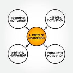 4 types of Motivation mind map concept for presentations and reports