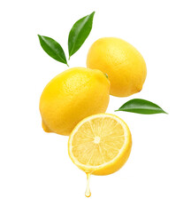 Fresh lemon  juice dripping with lemon fruits levitate isolated on white background.