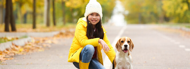 Little Asian girl with her cute beagle dog walking in autumn park