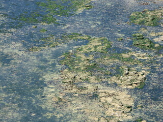 Plateau rocheux vu depuis le haut du phare de Cordouan