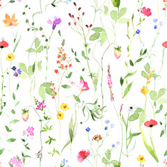 Watercolor wildflowers seamless pattern. Hand-painted illustration on white background. Botanical floral design. - obrazy, fototapety, plakaty