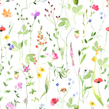 Watercolor wildflowers seamless pattern. Hand-painted illustration on white background. Botanical floral design.