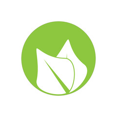 Obraz premium fresh leaf source of life vector logo icon