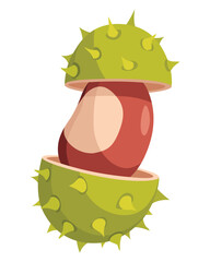 Chestnuts cracked shell with prickles. Vector illustration. Design element for poster, packaging, banner and wrapping paper