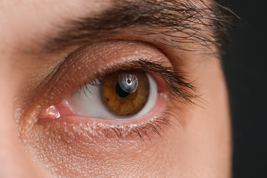 Brown Eyes Man Images – Browse 47,652 Stock Photos, Vectors, and Video |  Adobe Stock