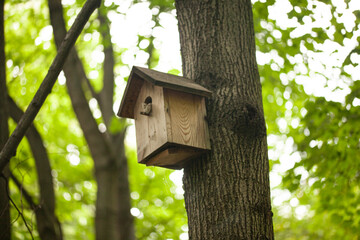 Birdhouses and bird feeder in the forest on a blurry background of greenery. Save birds. Bird feeding