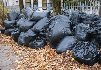 Autumn leaves in the rubbish black bags in Warsaw city, Poland