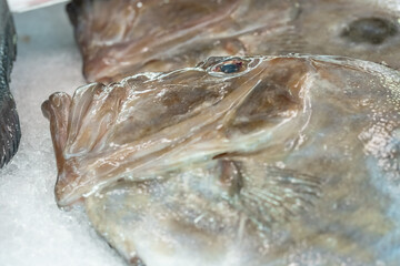 &eacute;tal march&eacute; aux poissons