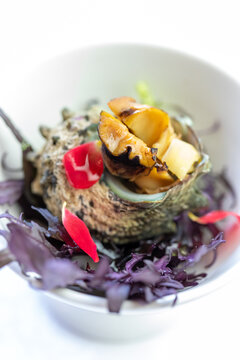 サザエのつぼ焼き サザエ さざえ 栄螺 貝料理 焼き物 海鮮 魚介類 郷土料理 エディブルフラワー 花びら 海藻 皿盛り 和食 コース料理 ディナー レストラン 飲食店 白背景 | Grilled Turban Shell Sazae with Edible Flower Petals Traditional Japanese Seafood Course Food Photo