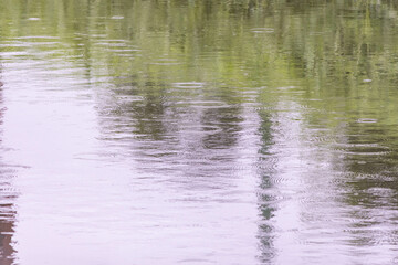 水面にたくさんの雨の波紋