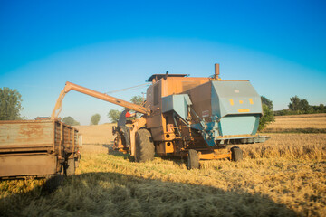 Overloading grain harvester into the grain tank of the tractor trailer.