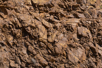 texture of cracked brown earth. Background of brown soil
