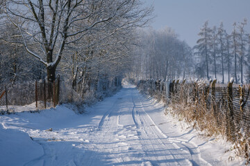 Rural road during winter in Rogow village, Lodz Province of Poland