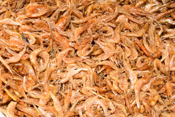 Dried prawn isolated on white background, Dried shrimp isolated