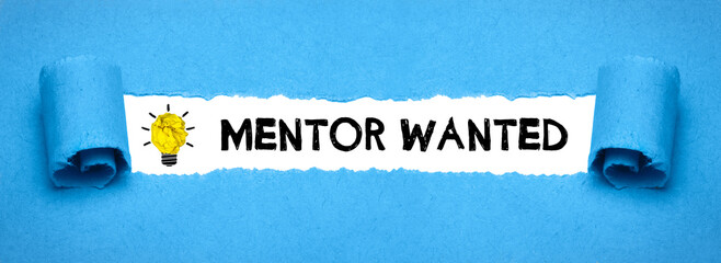 Mentor Wanted