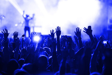 crowd at concert - summer music festival