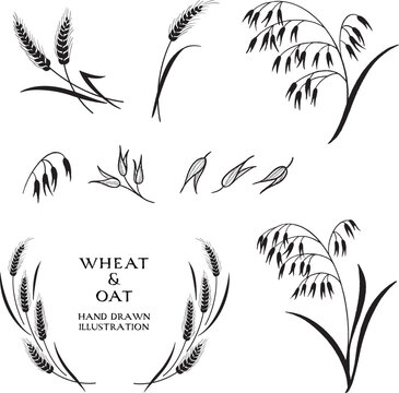 小麦とオーツ麦のモノクロイラスト