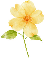 Naklejka premium Yellow flowers watercolor illustration