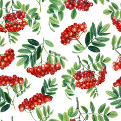  Rowan watercolor. Branches, leaves and red berries. Seamless pattern