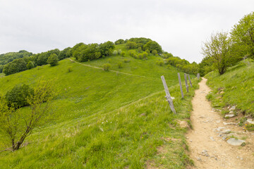 Pathway to the top of Antola Mount, inside the Antola park in Genoa province, Italy.