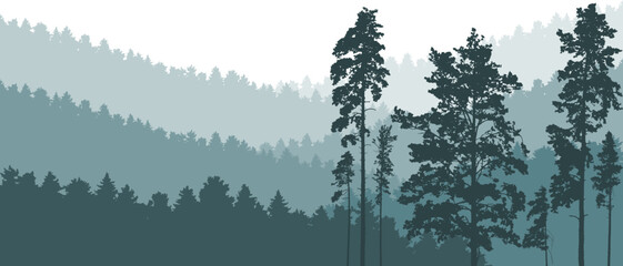 Beautiful landscape, nature. Silhouettes of forest, tall pines, fir trees. Vector illustration
